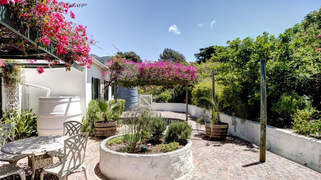 Little Paradise Noordhoek Exterior foto
